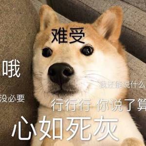 欧一美—美–交–黄–片
