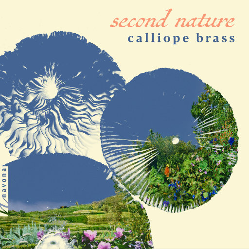 欧一美—美–交–黄–片
